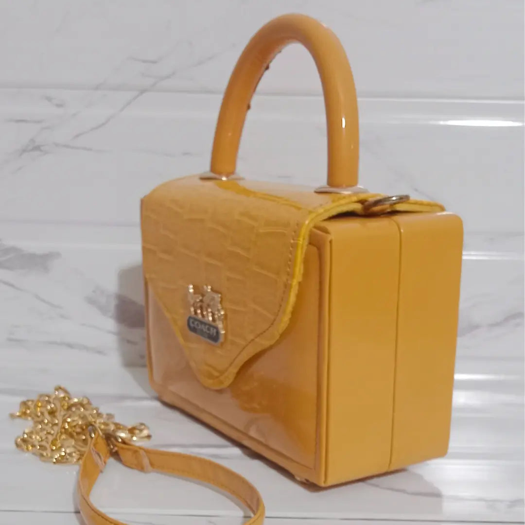 Coach Wooden Box 102